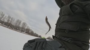 Зимняя рыбалка. Самара. затон Гусиха 6.12.2026 (где рыбачить в Самаре и Самарской области)