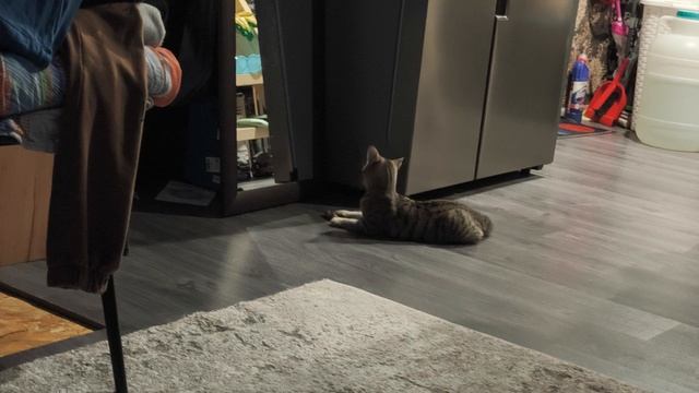 Блог.Рабочии  дни ещё не кто не отменял.04.01.25 смотреть онлайн