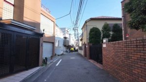 Скрытый Токио - прогулка по районам Комагоме и Хонкомагоме