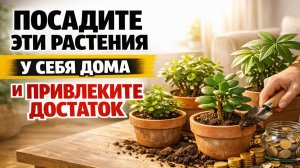 Какие растения притягивают деньги в дом и как их посадить, чтобы достаток держался годами