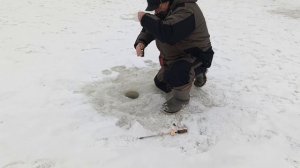 VID_20260107_115148_016