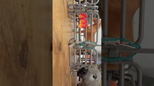 до сих пор первая часть потому что мне так тогда уже было надо было ложиться спать