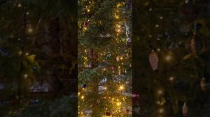 С Рождеством! #Мурманск