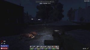 путник 14 хромого ,больного бродячая стая собак поймала в ночи!))