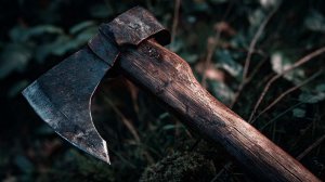 Друг семьи изнасиловал и зарубил топором 11-летнюю девочку