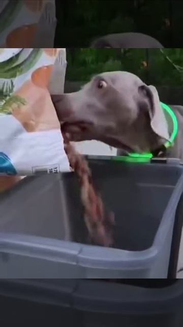 Мамочки, вот повезло смотреть онлайн