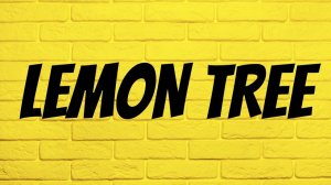 KARAOKE Fools Garden - Lemon Tree .avi