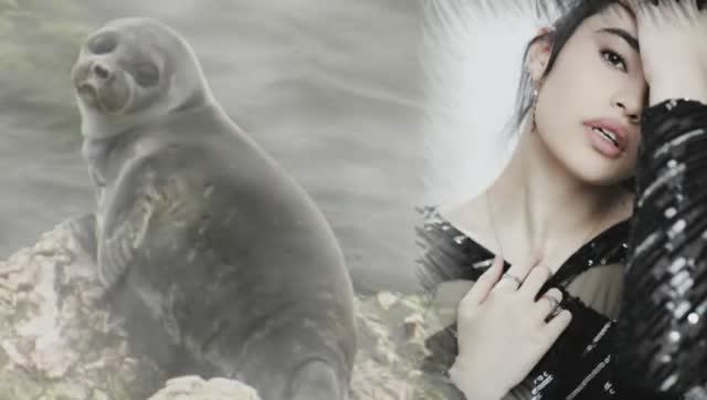 Д.Анкудинова. Байкал смотреть онлайн