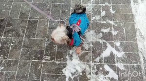 ЯРОСЛАВЛЬ.ВОТ ГДЕ НАДО ПОКУПАТЬ ЖИЛЬЁ.СПАЛЬНЫЙ ТИХИЙ РАЙОН.