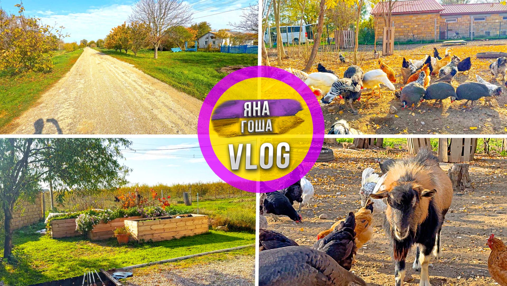 Тихая жизнь в крымском селе. Ничего не происходит, но есть что показать! Тёплая зима в Крыму. смотреть онлайн