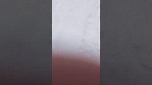 гуляем  с другом