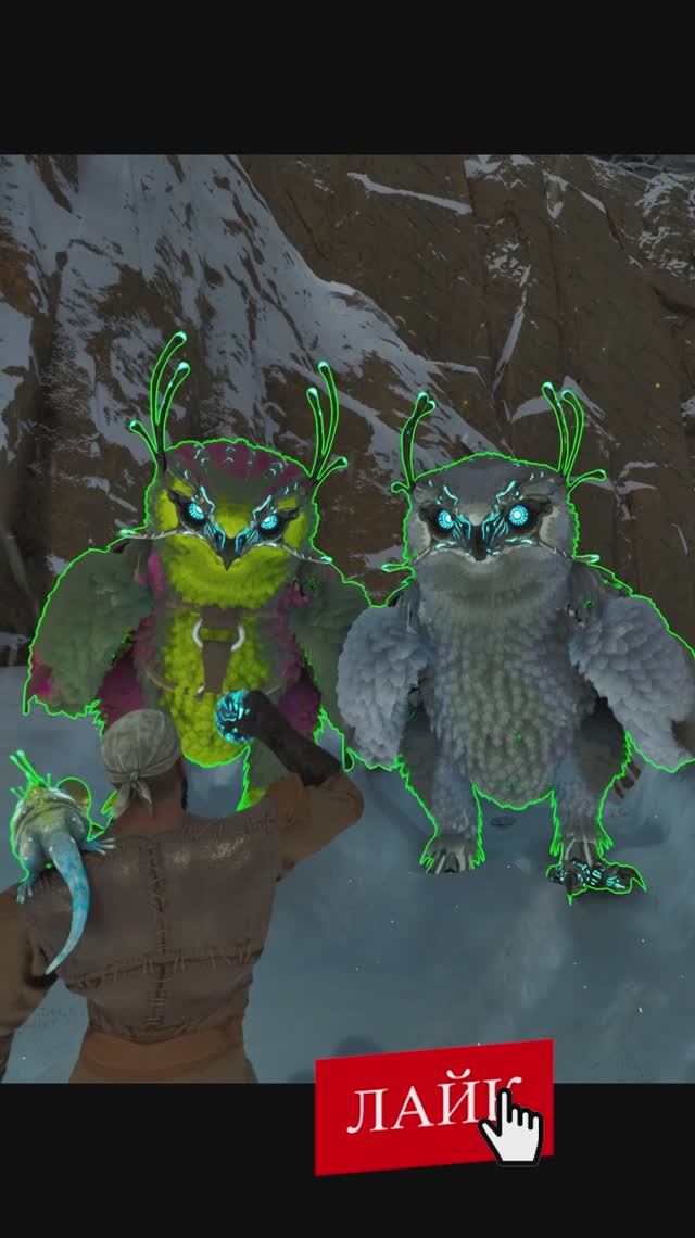 Простое приручение Снежной совы в ловушке #arksurvivalascended #snowowl смотреть онлайн