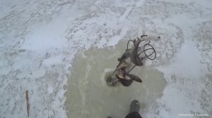 Рыбалка на хапуги. Туда залезли, а назад не идут. Полные рыбы.