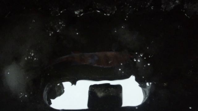 Рождественская рыбалка