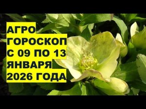 Почему 09 января 2026 года - удачный день для посевов и начала новых проектов?