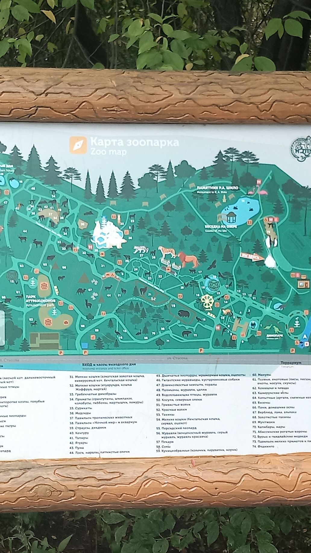 15.08.2024г
г. Новосибирск
Новосибирский зоопарк им. А.Н. Шило
