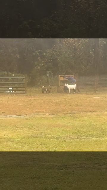 Она пыталась смотреть онлайн