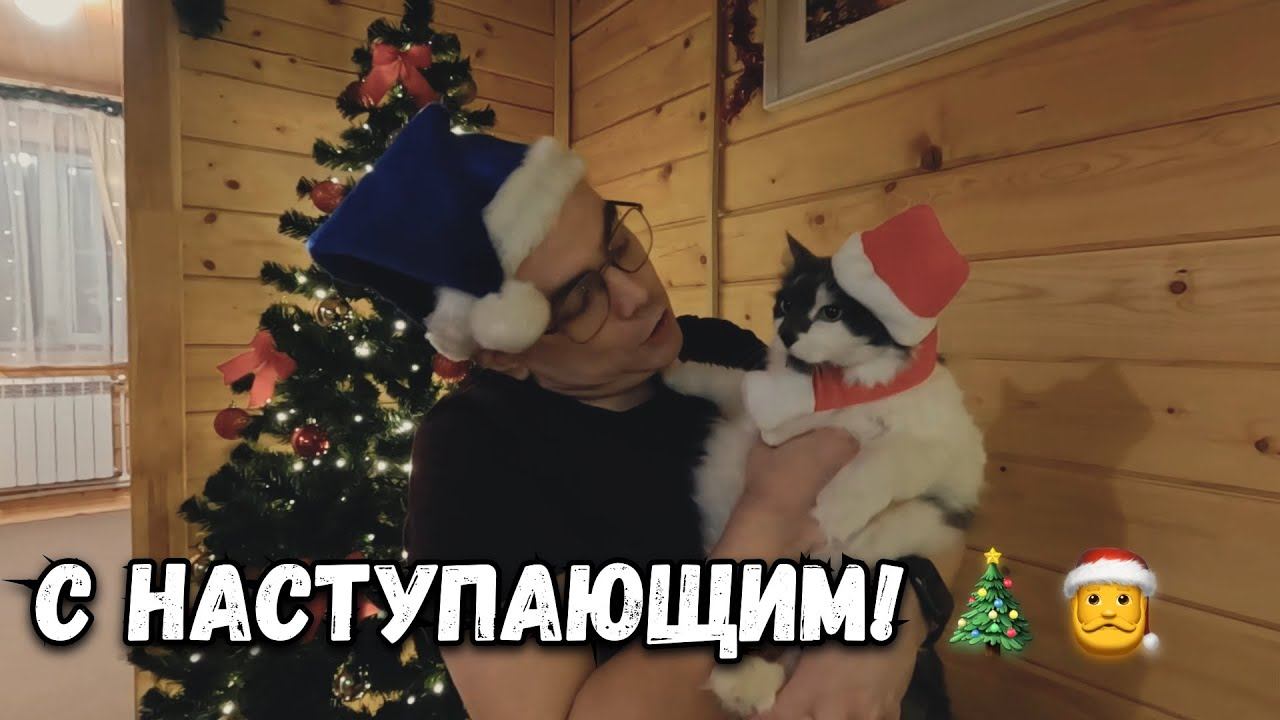 НОВОГОДНЕЕ ОБРАЩЕНИЕ ВВ. С НОВЫМ 2025 ГОДОМ смотреть онлайн