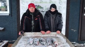 итоговый улов форели