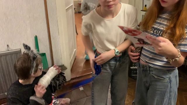 День приюта