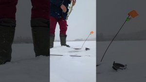 Ловля щуки в Кожанах.