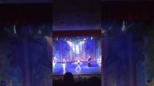 VID2026 Сегодня я был на Балете Лебединое озеро