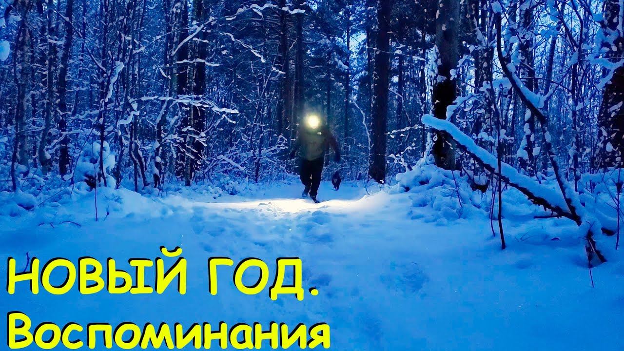 ЛЕСНЫЕ БЕСЕДЫ. Новый год. Воспоминания смотреть онлайн