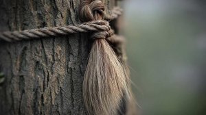 Двое мужчин изнасиловали вдову, привязали ее к дереву и отрезали волосы