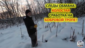 Охота на бобра с капканами. Щелчок в тишине история капкана, который ждал бобра