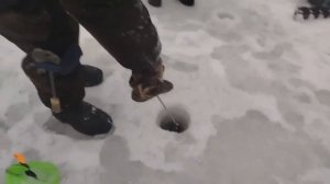 07.01.26 г. РК Волна.