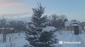 Vlog/206/ Катю знают все бездомыши// Попарились в баньке...