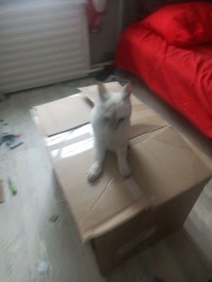 пишите задания