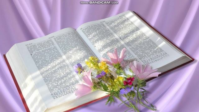 2часть. НАСТАВЛЕНИЕ ИЗ КНИГИ ТОВИТА В БИБЛИИ ПОДХОДЯЩЕЕ ИСТИННОВЕРУЮЩИМ ДЛЯ ВСЕХ ВРЕМЁН ! смотреть онлайн