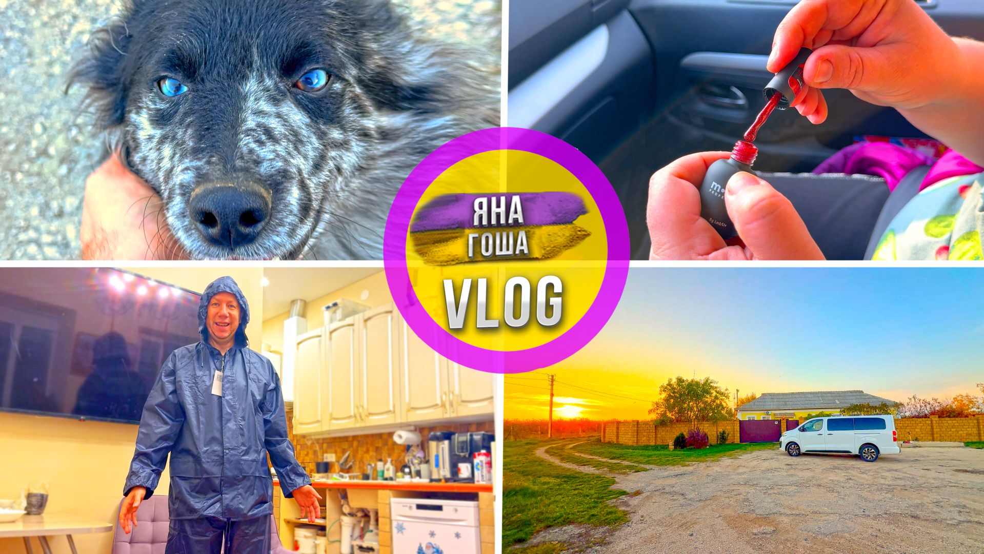 Собака с уникальными глазами! Сюрприз для жены. Лучшее время года в Крыму. Купил себе спец. костюм. смотреть онлайн