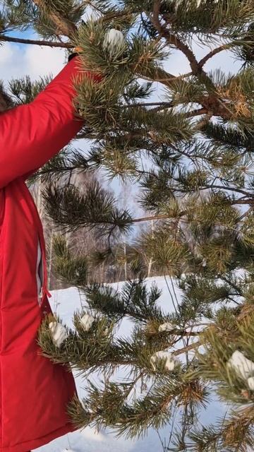 С Рождеством Христовым!🌟✨ смотреть онлайн