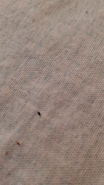 безгрешных вряд ли много на земле,и Я на место их не претендую. не прячусь но напрасно не рискую . смотреть онлайн