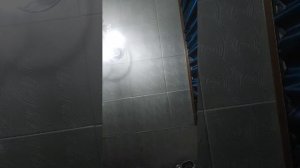 99 ночей в лесу