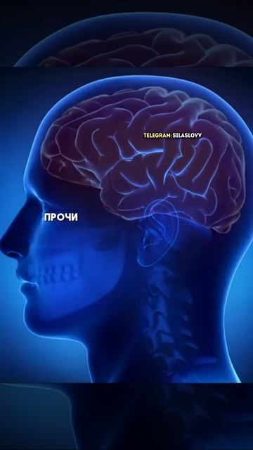 В чём польза от книг? смотреть онлайн