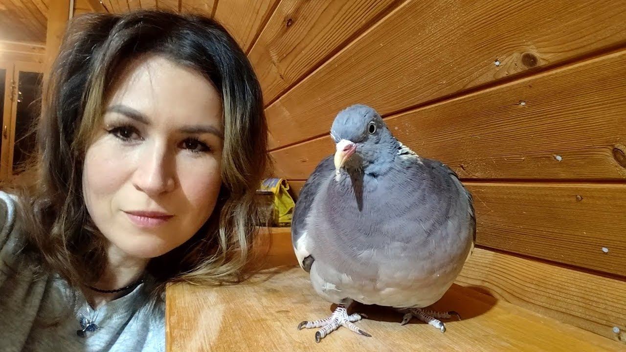 АНАСТАСИЯ. Вяхириная любоff смотреть онлайн