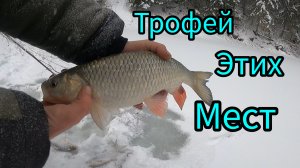 РЫБАЛКА НА КОСЫНКИ. ПЕРВЫЙ ТРОФЕЙ 2026.