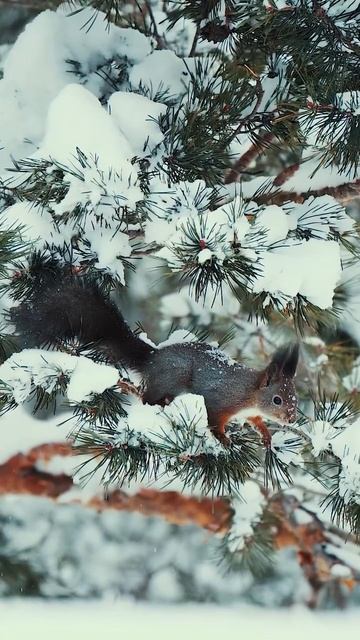 Зимняя сказка смотреть онлайн