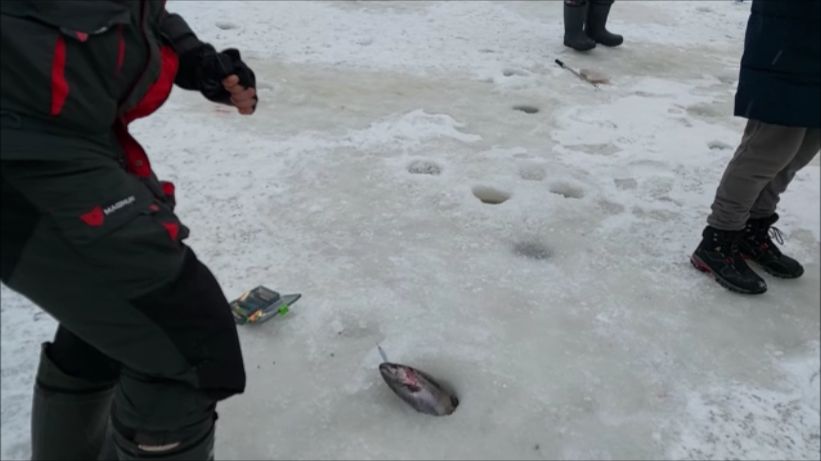 Рождественские поимки форели. Клёвое место, Лосиный остров, нижний водоём. смотреть онлайн