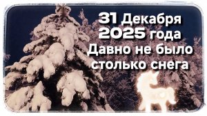 Я такой зимы давно не видел на Кубани! Всегда дождь и слякоть были в  новогодние праздники!🥳