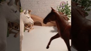 ●♡// Вызов-принят 1 часть //●♡ Лошади Шляйх //●♡