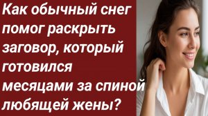 Истории для Вас/Как обычный снег помог раскрыть заговор/Жизненные истории/Аудиорассказ