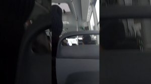 Метель за окном 4