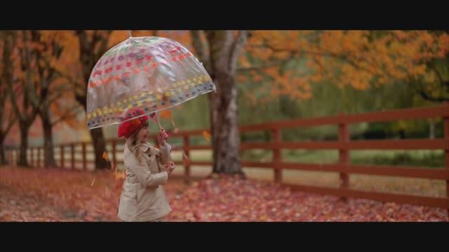 Кистью Творца смотреть онлайн