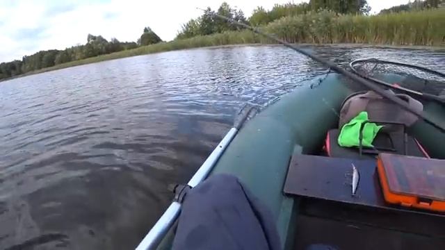 ЩУКИ ЗВЕРЕЮТ НА ВОБЛЕР И ГНУТ СПИННИНГ! Рыбалка на лесном озере с маленькой лодки. смотреть онлайн