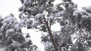 7 января как загадать желание, чтобы обязательно исполнилось