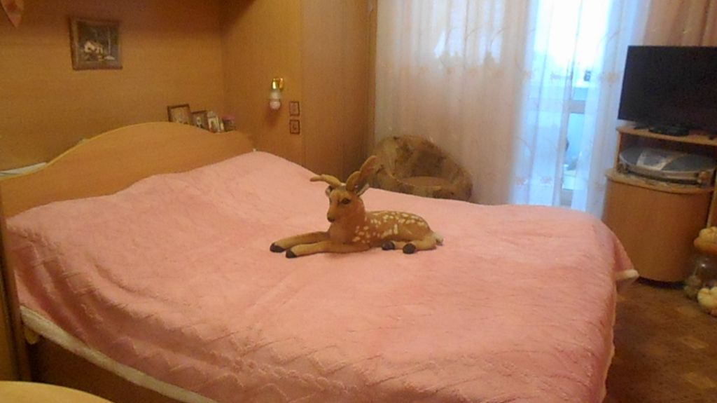 КУПИЛИ ПОКРЫВАЛО,ГОТОВИМ ПИЦЦУ И ХОЛОДЕЦ В СОЧЕЛЬНИК смотреть онлайн